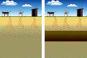 Bacteria migration